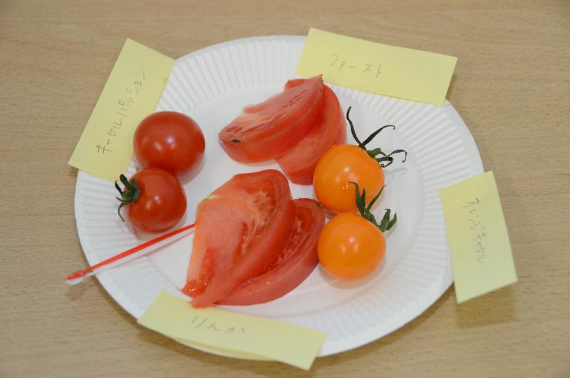 トマトとミニトマトの食べ比べ体験