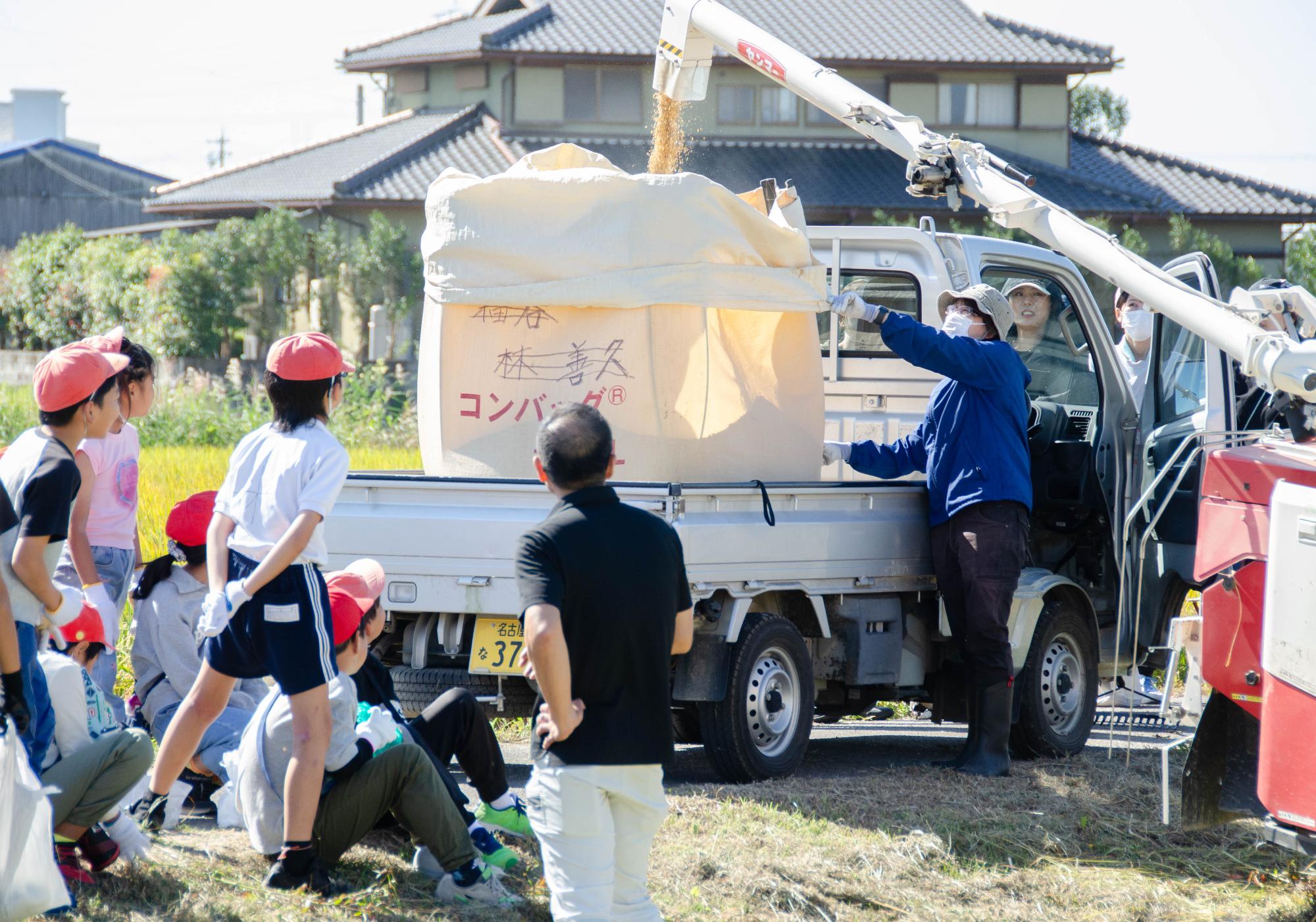 コンバインにかけられる稲