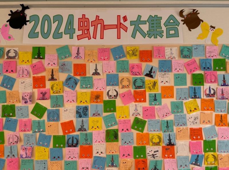 2024虫カード大集合の文字とカラフルなメッセージカードがたくさん張り付けられたボードを正面から写した写真