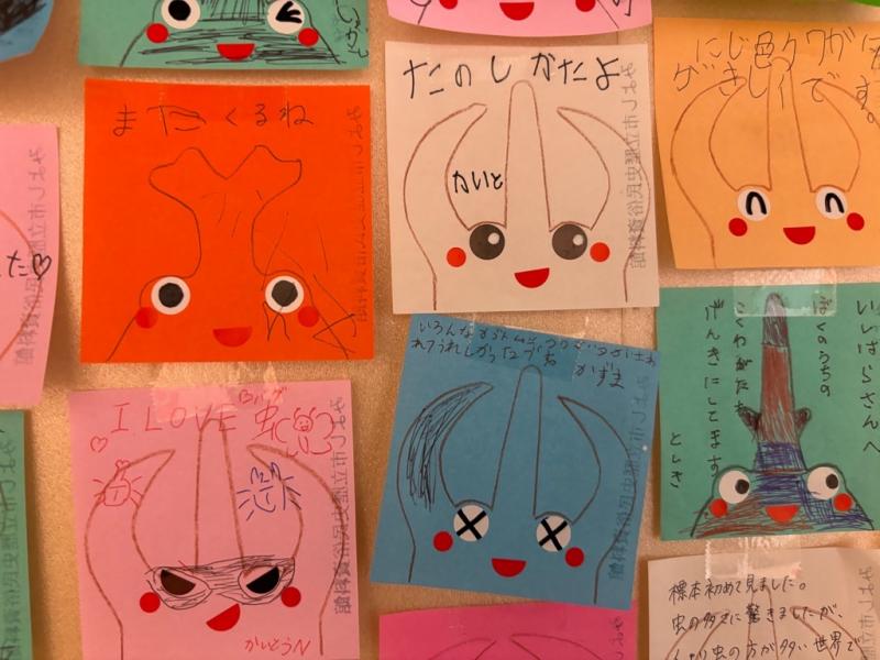 たのしかったよ、またくるね、などと書かれたメッセージカードの写真