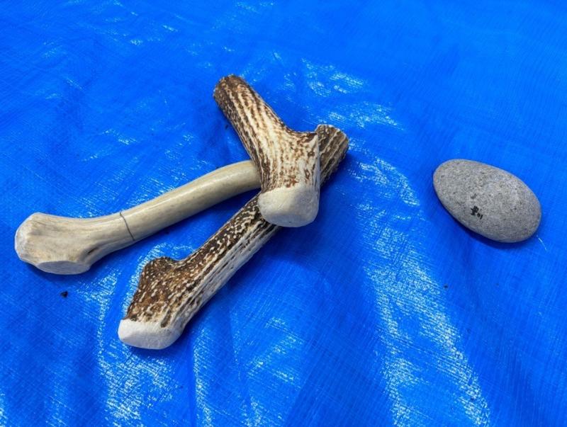 ブルーシートに置かれた鹿の角と楕円形の石の写真