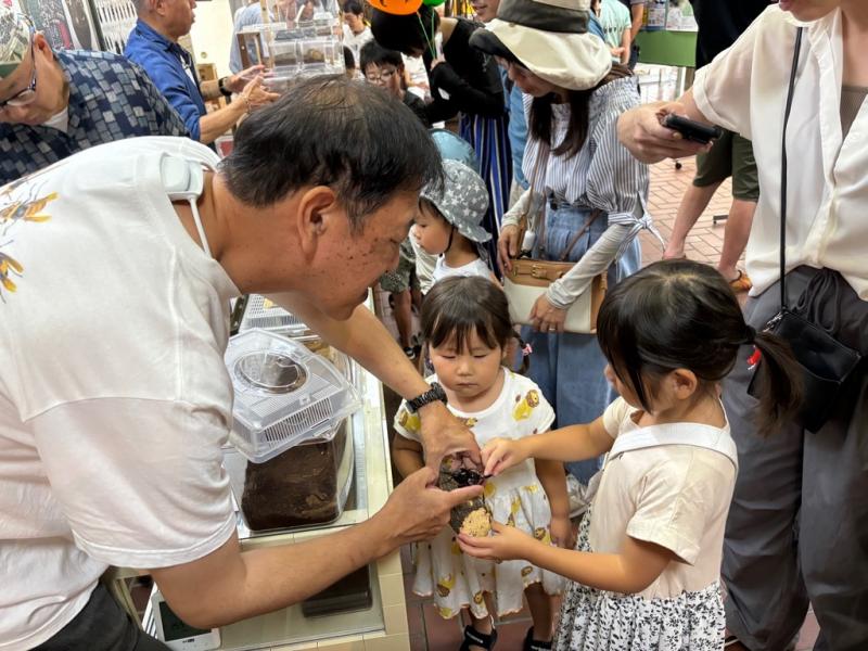 スタッフの手の上のカブトムシを見ている二人の女の子の写真