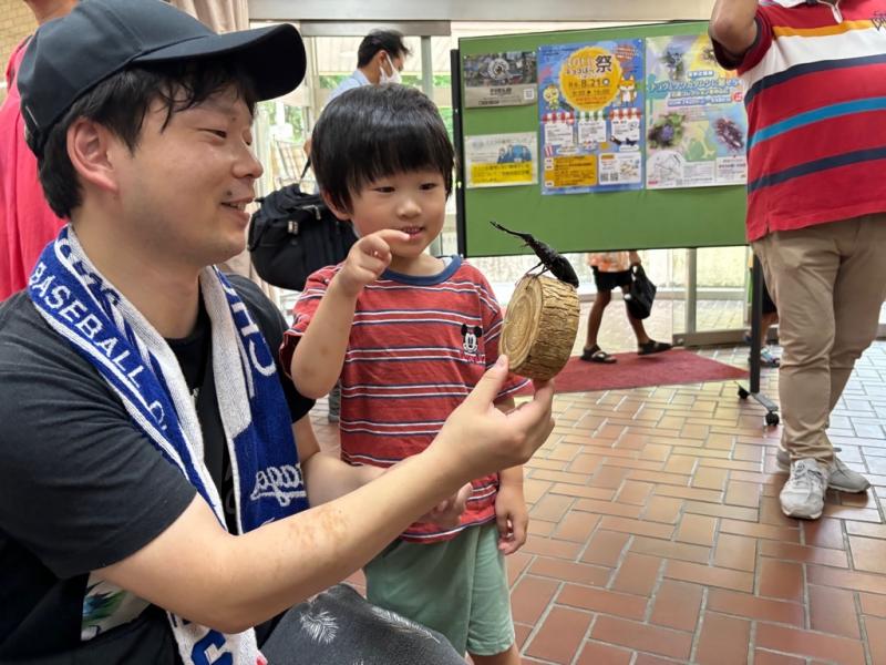 切り株に乗せたクワガタムシを持っている男性とそれを見ている男の子の写真