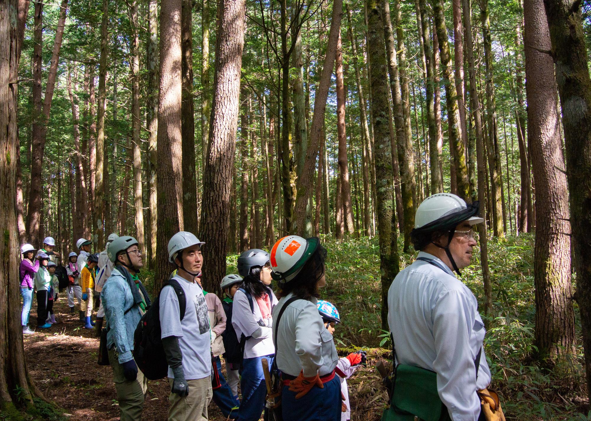 友好の森の説明を受けている参加者の様子