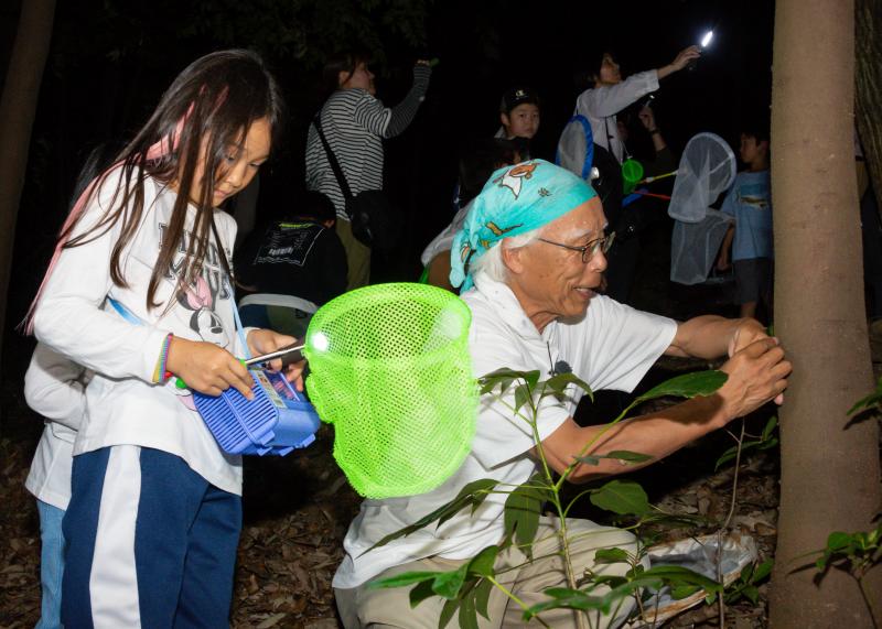 男性が木の幹に手をかざしており、その後ろで女の子が虫かごと虫取り網を準備している写真