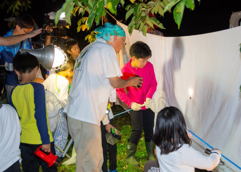 強い光を当てた白い大きな布にやってきた虫を、子供が虫取り網で捕まえようとしている写真