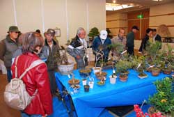 写真：会場の一画には文化協会盆栽部の皆さんが育てた盆栽の即売ブースも設置