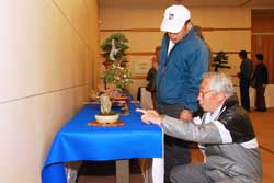 写真：文化協会盆栽部の皆さんが丹精込めて育てた盆栽およそ100点が出品
