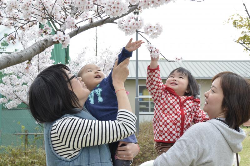 桜とふれあう子どもたち