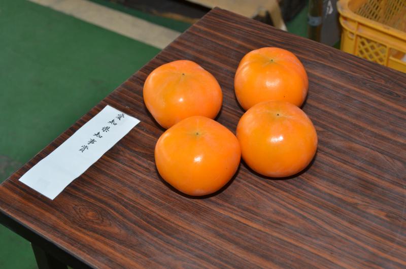 見事愛知知事賞に輝いた竹谷さんの柿