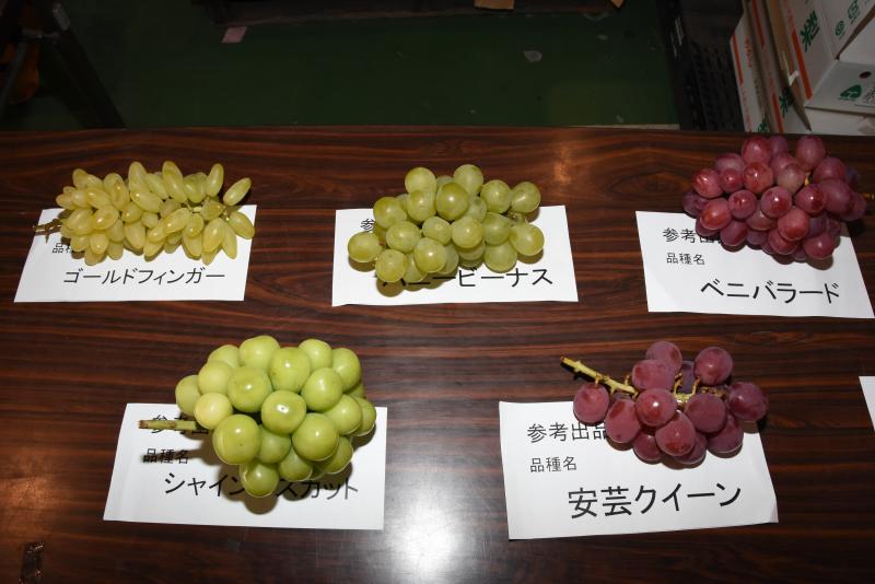 珍しい品種のブドウも展示されました