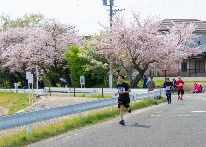 桜咲く中で走る様子2