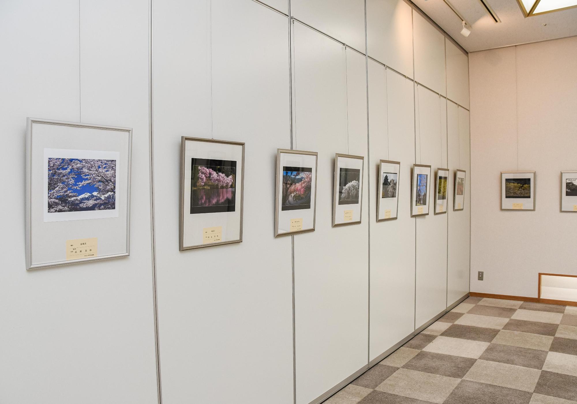 写真展示の様子