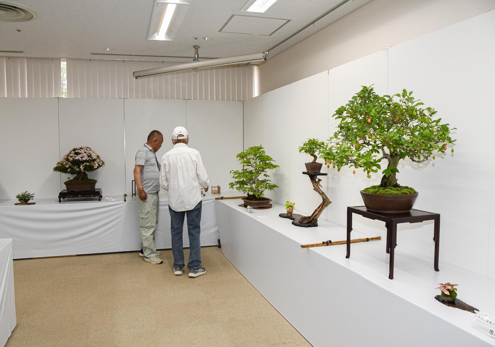 みよし山野草盆栽の展示の様子