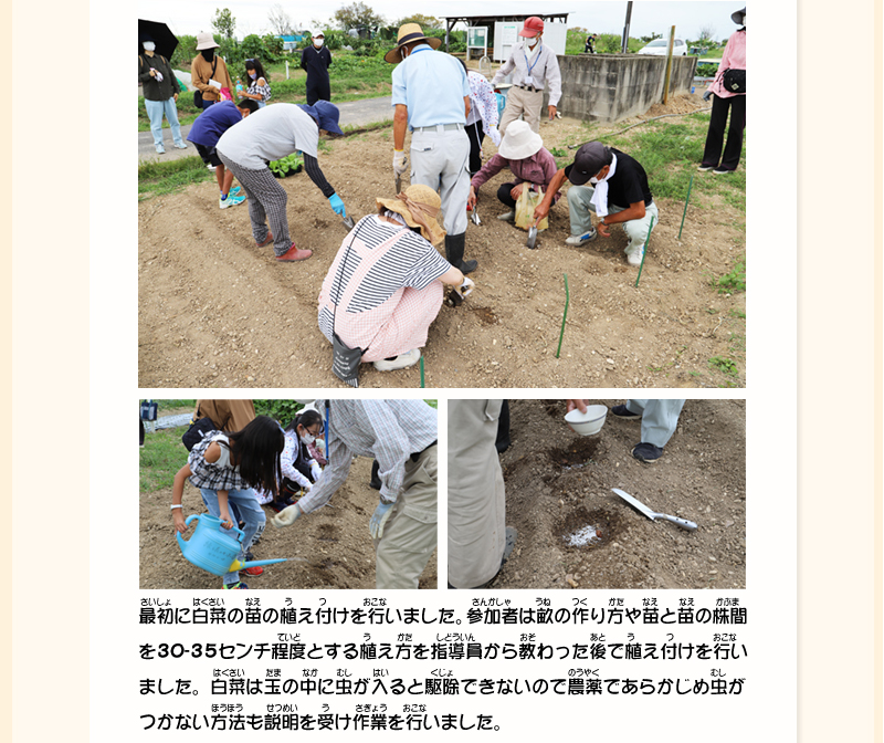 上：畑の周りでしゃがんでスコップを持ちながら作業する参加者たちの写真、左下：女の子がじょうろで畑に水をかけている写真、右下：中央に穴が掘られ横にスコップが置かれた畑が写っている写真