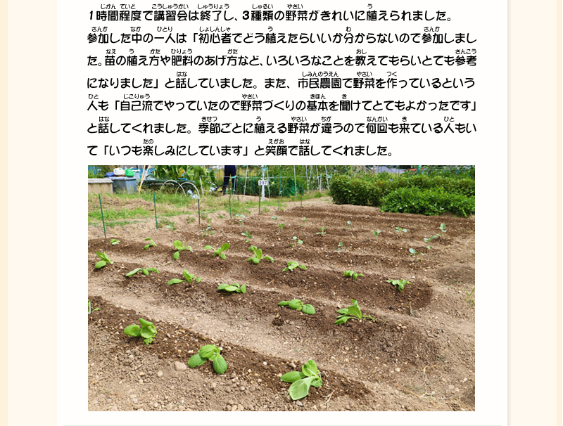 6列ほど苗が等間隔で植えられ、水がかけられた部分の土の色が濃くなっている畑の写真
