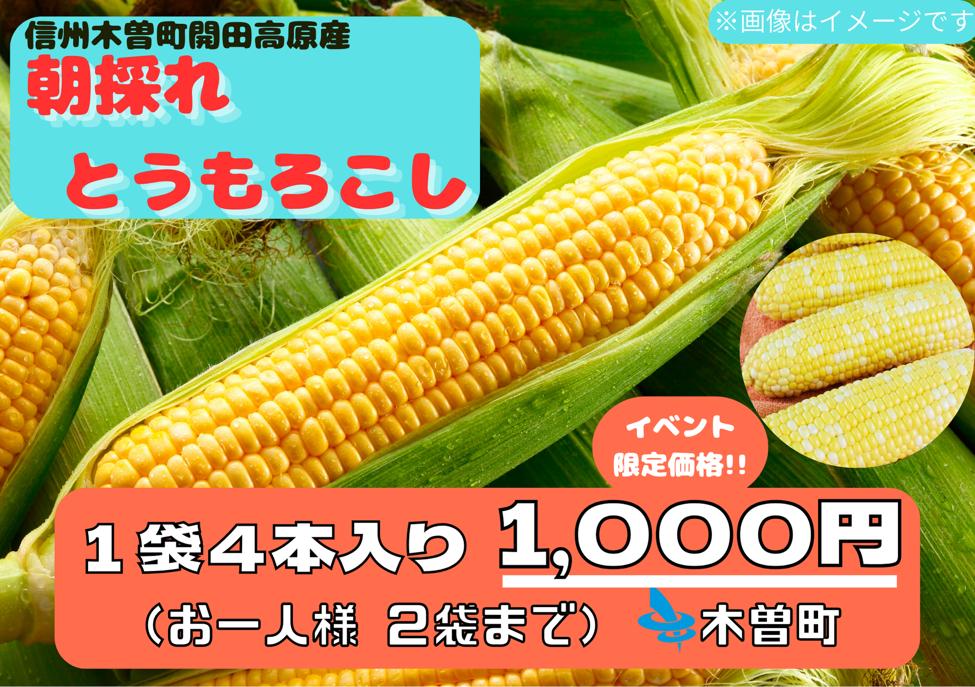 木曽町トウモロコシポップ