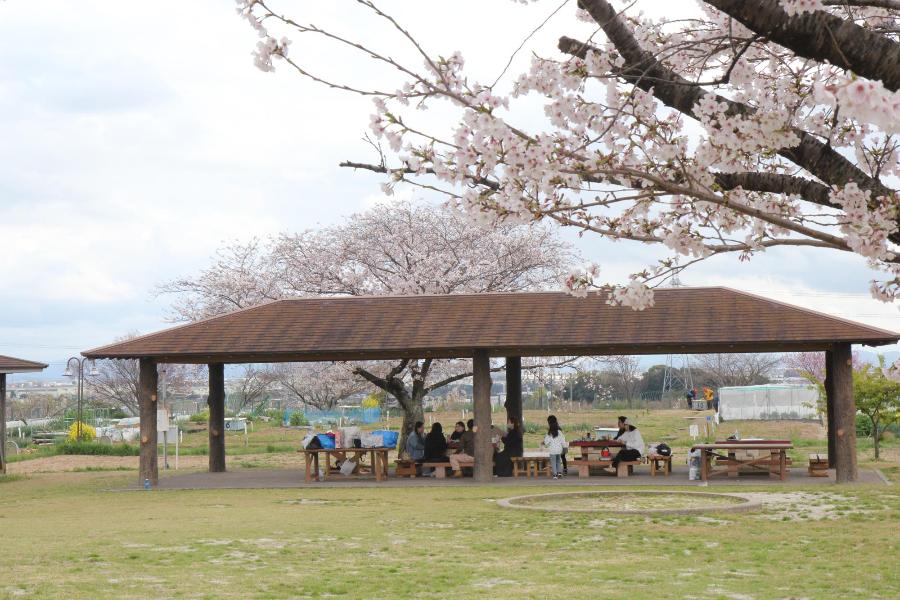 bbq風景3