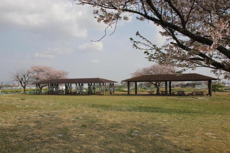 bbq風景写真