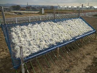 切り干し大根用の干し台