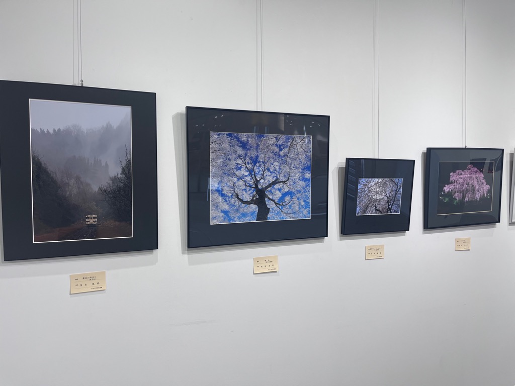 展示の様子