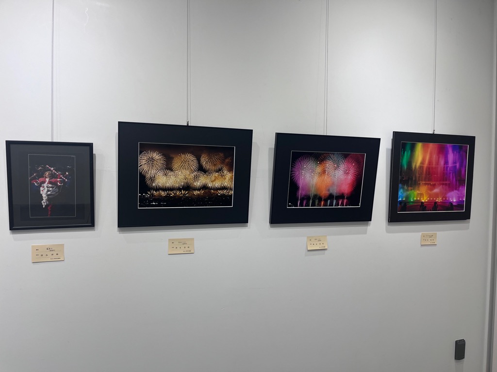 展示の様子