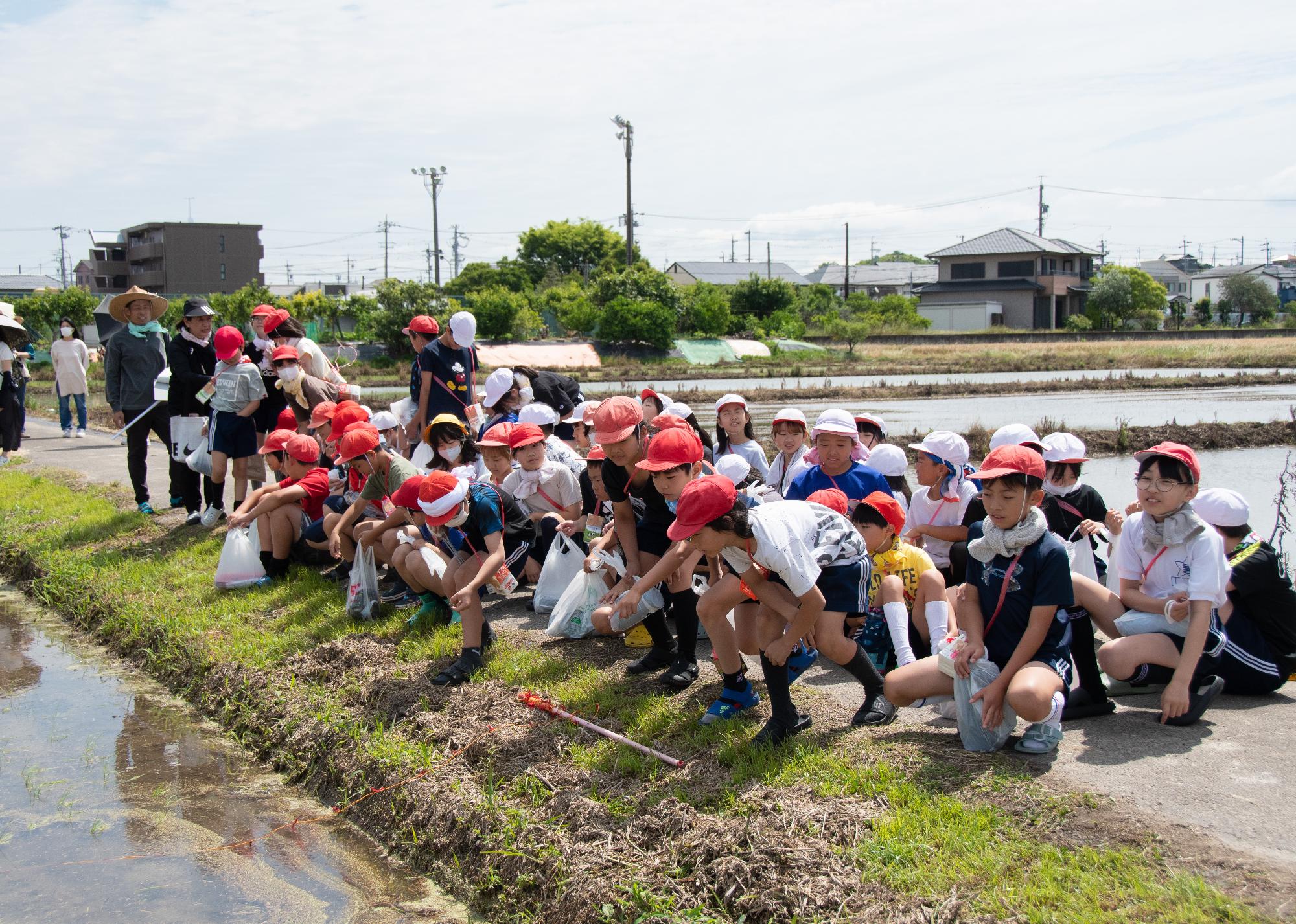 田植え前の整列の様子