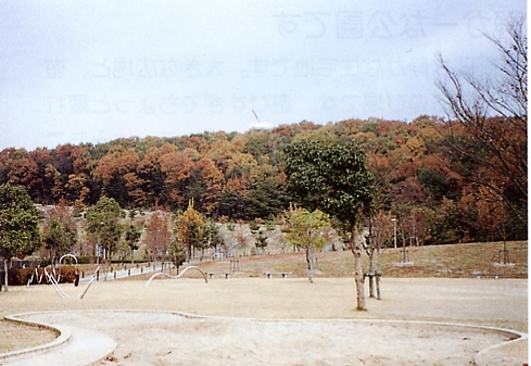 三好丘公園の写真